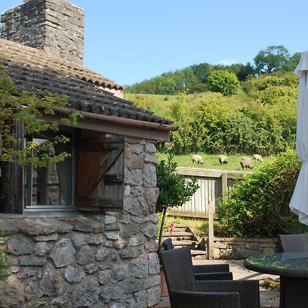 Fenny Castle Vineyard Cottage Wookey Zewnętrze zdjęcie