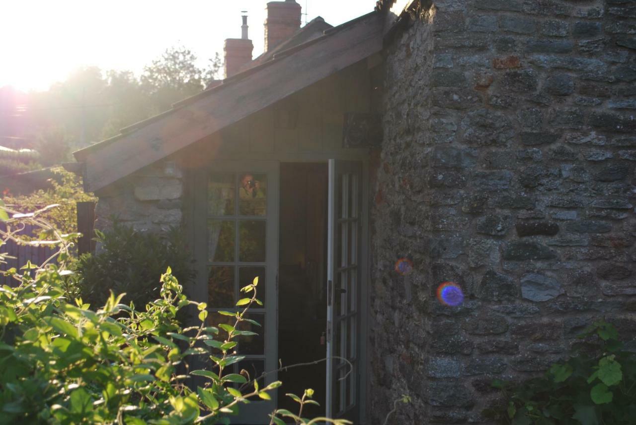 Fenny Castle Vineyard Cottage Wookey Zewnętrze zdjęcie