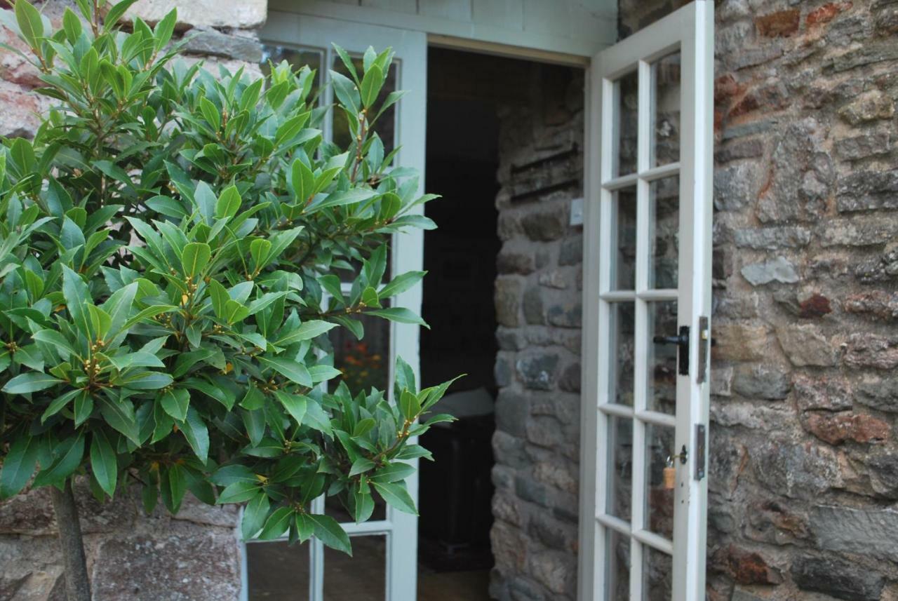 Fenny Castle Vineyard Cottage Wookey Zewnętrze zdjęcie