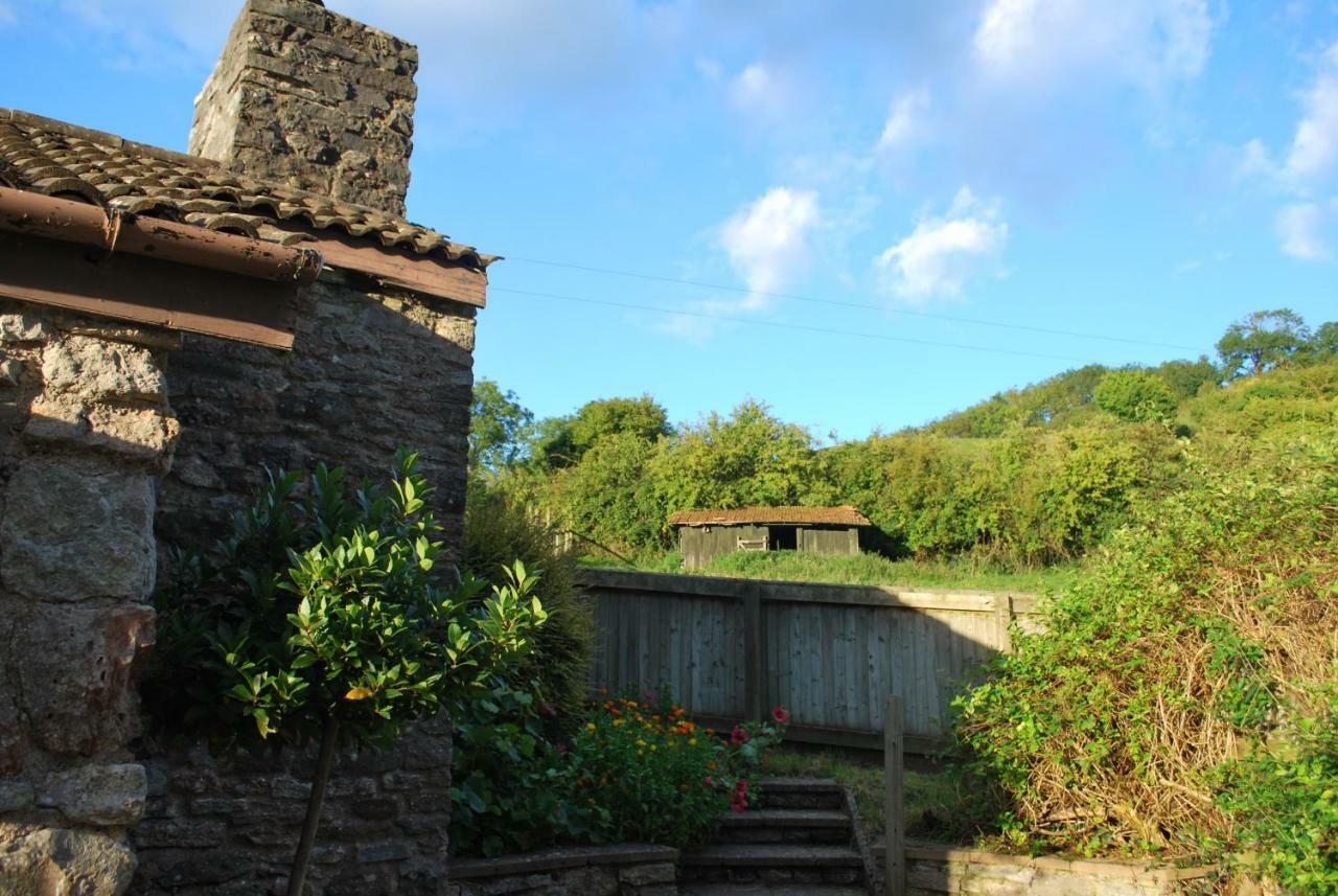 Fenny Castle Vineyard Cottage Wookey Zewnętrze zdjęcie
