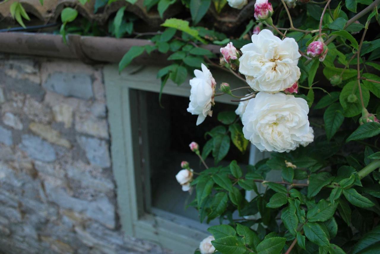 Fenny Castle Vineyard Cottage Wookey Zewnętrze zdjęcie